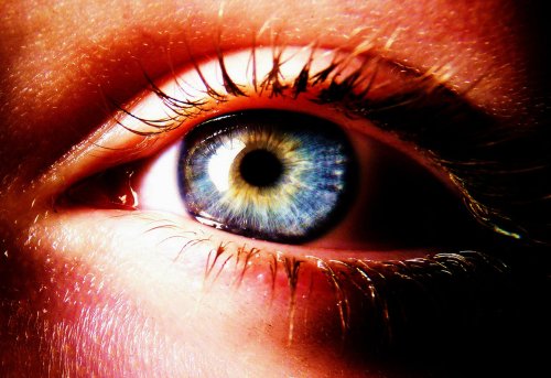 Collège de France – Neurosciences et psychanalyse